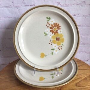 Vintage Stonecrest Autumn Glory Dinner Plates - Set of 2